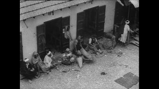 Link zum Video | Paul Lieberenz