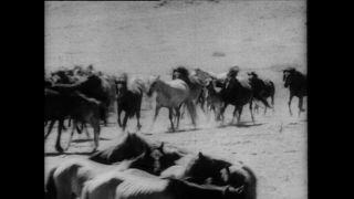 Link zum Video | Paul Lieberenz