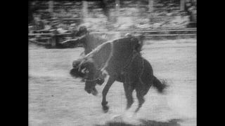 Link zum Video | Paul Lieberenz