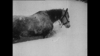 Link zum Video | Paul Lieberenz