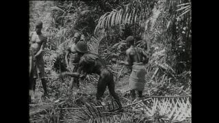 Link to Video | Paul Karl Lieberenz