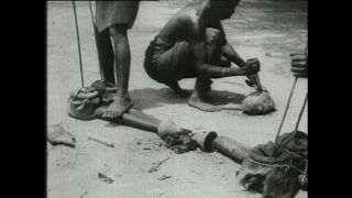 Link zum Video | Paul Lieberenz