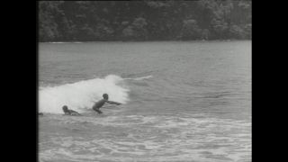 Link zum Video | Paul Lieberenz