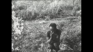 Link zum Video | Paul Lieberenz, Kamerun