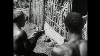 Link to Video | Paul Karl Lieberenz