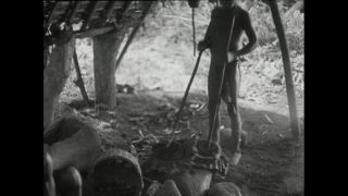 Link to Video | Paul Karl Lieberenz, Kamerun