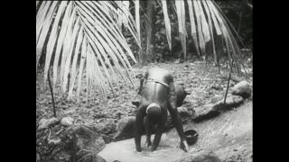 Link to Video | Paul Karl Lieberenz, Kamerun