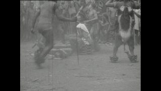 Link to Video | Paul Karl Lieberenz, Kamerun