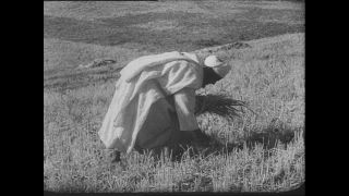 Link to Video | Paul Karl Lieberenz