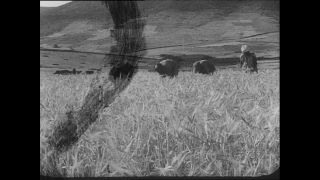 Link to Video | Paul Karl Lieberenz