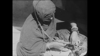 Link to Video | Paul Karl Lieberenz