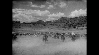 Link to Video | Paul Karl Lieberenz