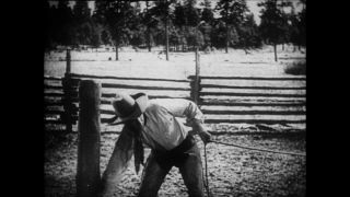 Link zum Video | Paul Lieberenz