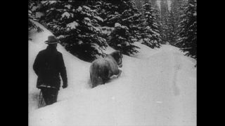 Link zum Video | Paul Lieberenz