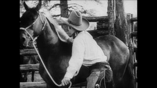 Link to Video | Paul Karl Lieberenz