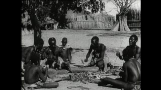 Link to Video | Paul Karl Lieberenz