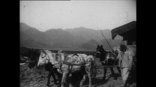 Link to Video | Paul Karl Lieberenz