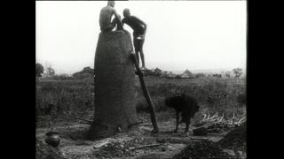 Link to Video | Paul Karl Lieberenz