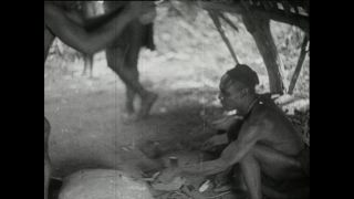 Link to Video | Paul Karl Lieberenz, Kamerun