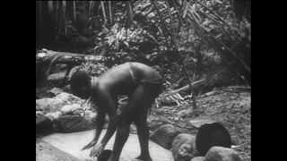 Link zum Video | Paul Lieberenz, Kamerun