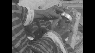 Link zum Video | Paul Lieberenz