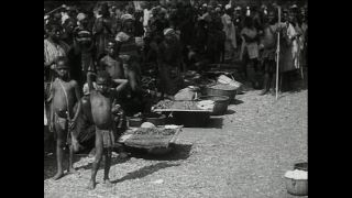 Link to Video | Paul Karl Lieberenz, Kamerun