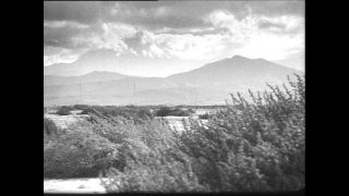 Link to Video | Paul Karl Lieberenz