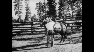 Link to Video | Paul Karl Lieberenz