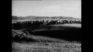 Link to Video | Paul Karl Lieberenz