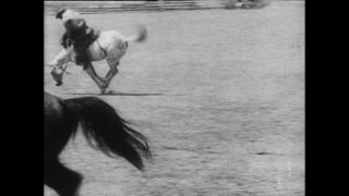 Link zum Video | Paul Lieberenz