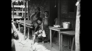 Link to Video | Paul Karl Lieberenz