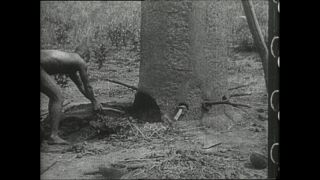 Link to Video | Paul Karl Lieberenz