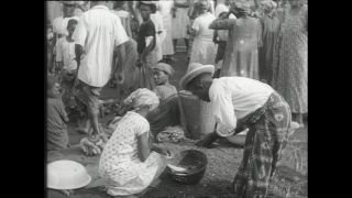 Link to Video | Paul Karl Lieberenz