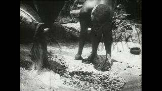 Link to Video | Paul Karl Lieberenz, Kamerun