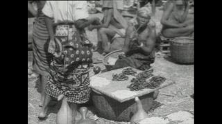 Link zum Video | Paul Lieberenz, Kamerun