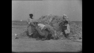 Link to Video | Paul Karl Lieberenz