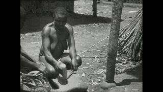 Link zum Video | Paul Lieberenz, Kamerun