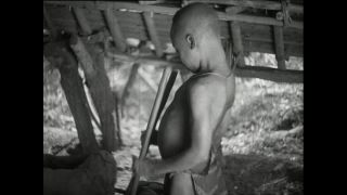 Link zum Video | Paul Lieberenz, Kamerun