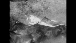 Link to Video | Paul Karl Lieberenz