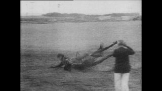 Link to Video | Paul Karl Lieberenz