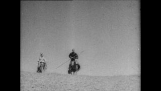 Link zum Video | Paul Lieberenz