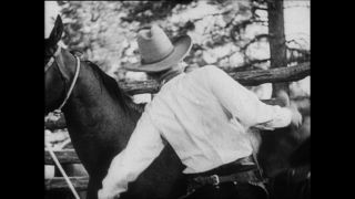 Link zum Video | Paul Lieberenz