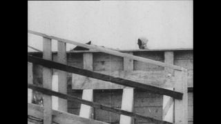 Link to Video | Paul Karl Lieberenz