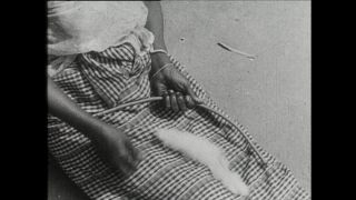 Link to Video | Paul Karl Lieberenz