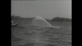 Link to Video | Paul Karl Lieberenz