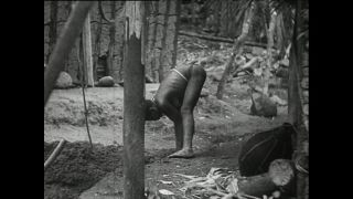 Link to Video | Paul Karl Lieberenz, Kamerun