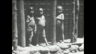 Link zum Video | Paul Lieberenz, Kamerun