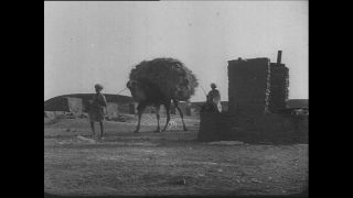 Link to Video | Paul Karl Lieberenz