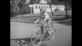 Link to Video | Paul Karl Lieberenz