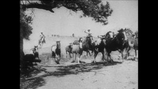 Link to Video | Paul Karl Lieberenz